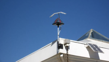 bird moving deterrent