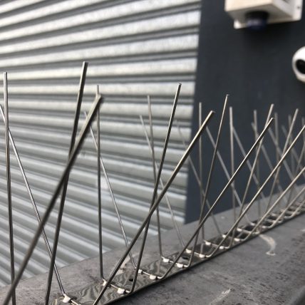 AvePro Bird Spikes