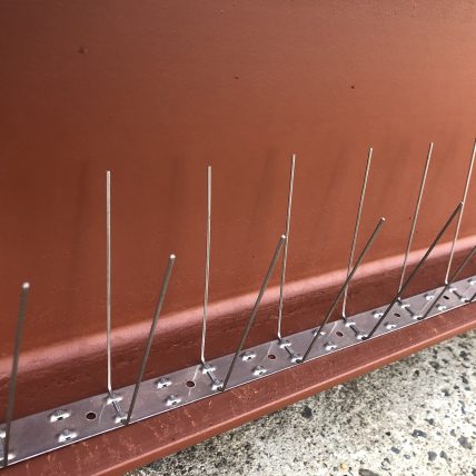 AvePro Poly Bird Spike