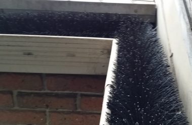 Busy-Bee-Rack-Off-Gutter-Brush-1