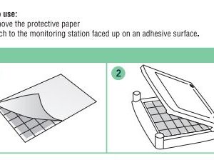 cockroach monitoring pad