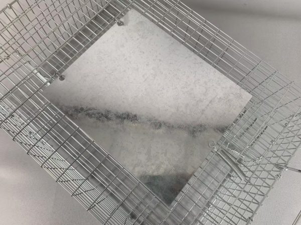 Sparrow Magnet Trap - Image 4