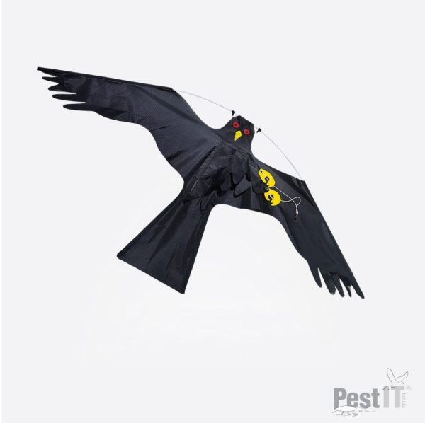 bird kite