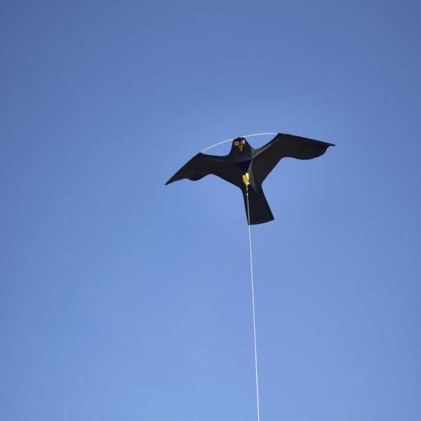 Bird scarer