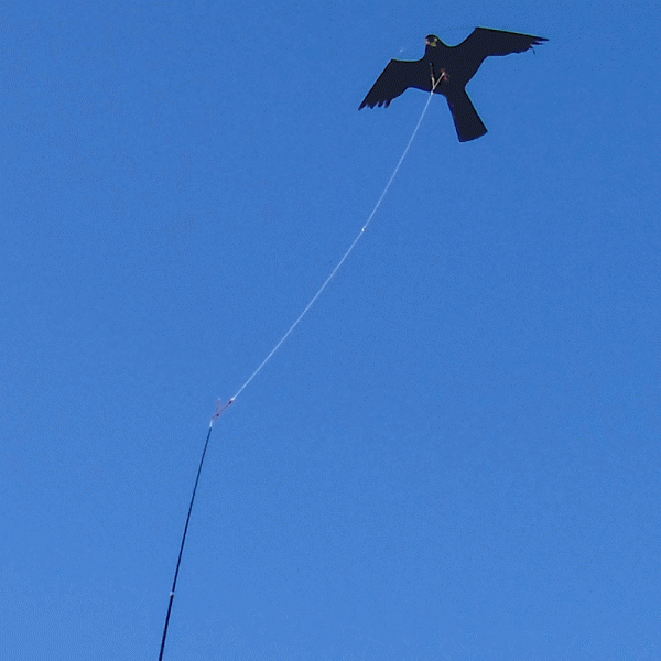 scare kite